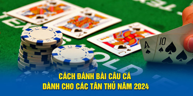 Cách Đánh Bài Câu Cá Dành Cho Các Tân Thủ Năm 2024