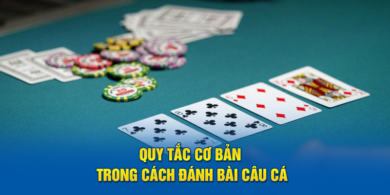 Quy tắc cơ bản trong cách đánh bài câu cá