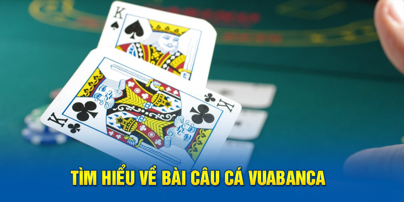 Tìm hiểu về bài câu cá vuabanca